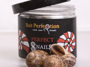 Perfect Snails + Baitpaste aus der Kategorie Baitpaste & Snails und Snails im Onlineshhop Bait-Perfection.de
