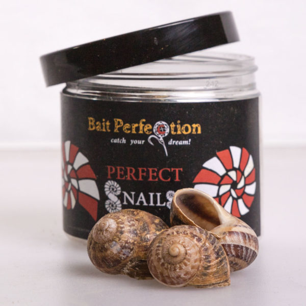 Perfect Snails + Baitpaste aus der Kategorie Baitpaste & Snails und Snails im Onlineshhop Bait-Perfection.de